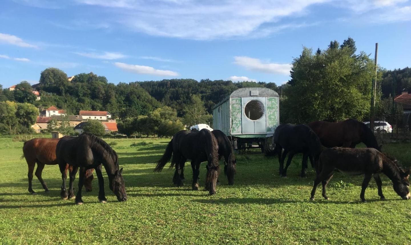 Glamping - Stylova Maringotka V Srdci Ladova Kraje, Pobliz Hlavniho Mesta Prahy Stribrna Skalice Ngoại thất bức ảnh